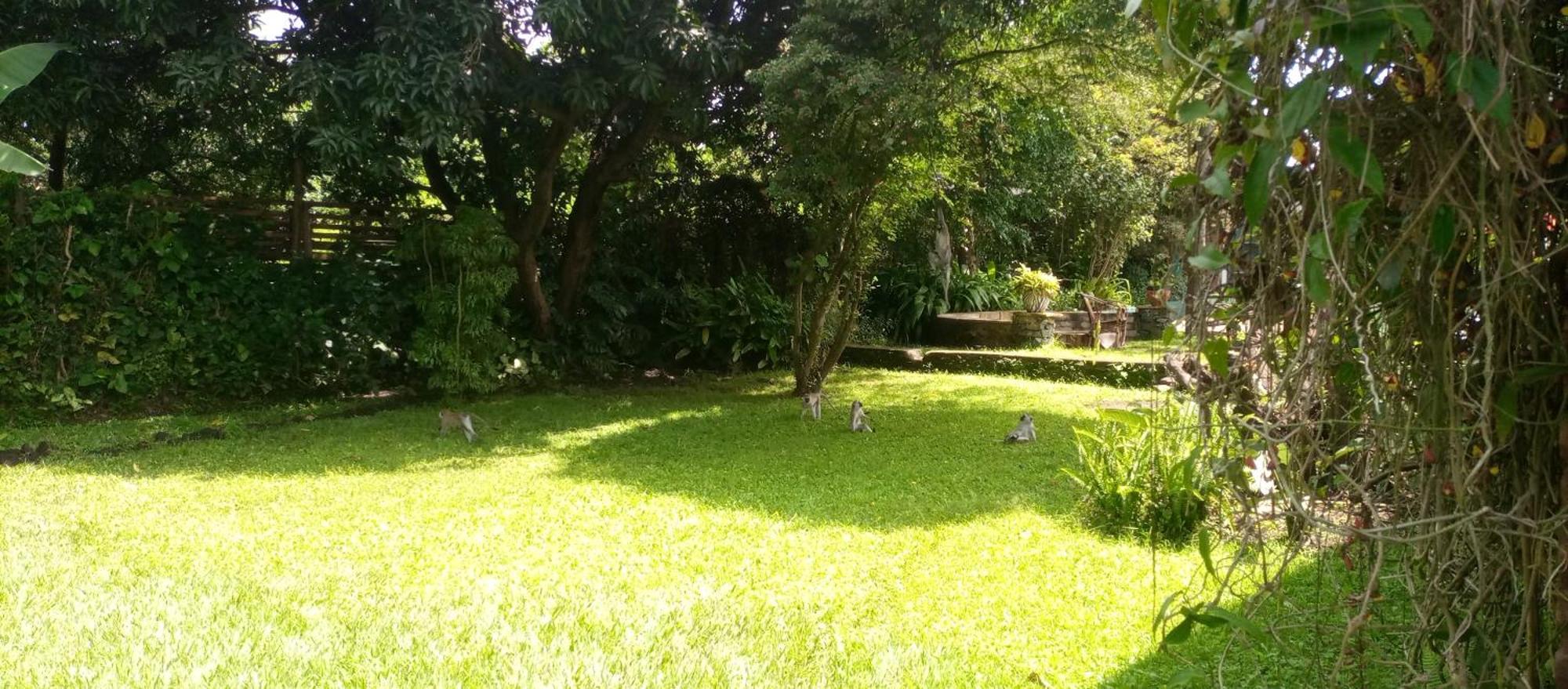 Karibu Heritage House Arusha Exterior foto